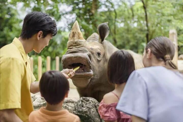 Singapore Zoo Tram Tour & Wildlife Encounters at Mandai Wildlife Reserve photo 3