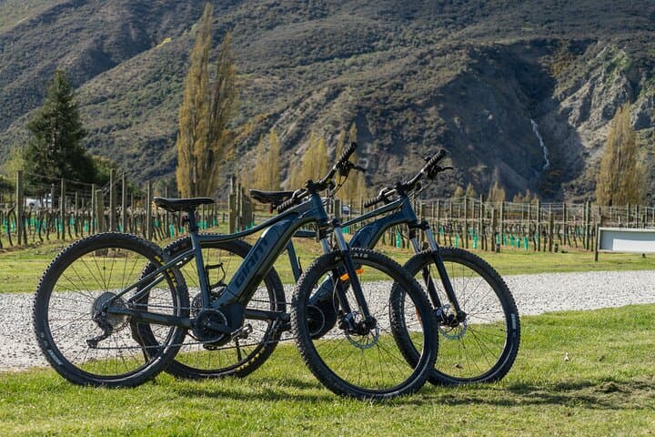 E‑Bike Wine Tour: Arrowtown to Gibbston Valley Pinot Trail photo 4