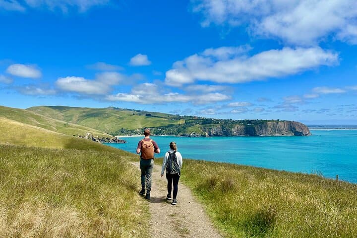 Discover the Wonders of Godley Head: Guided Walking Tour & Picnic photo 1