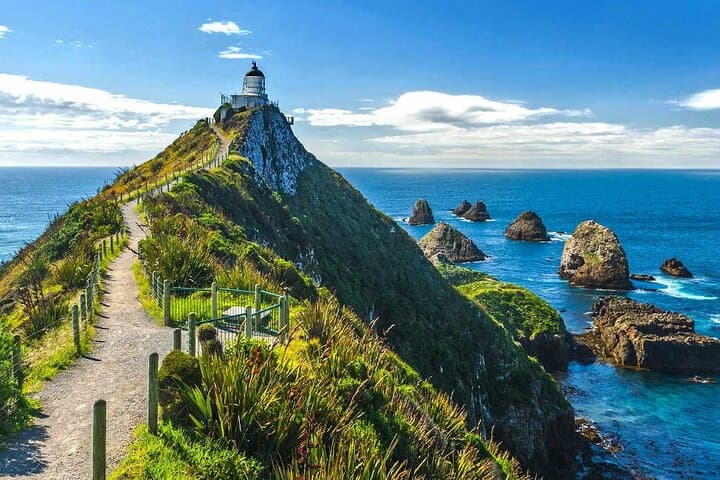 Coastal Catlins Cruiser: Private Day Tour from Dunedin Cruise Port photo 2