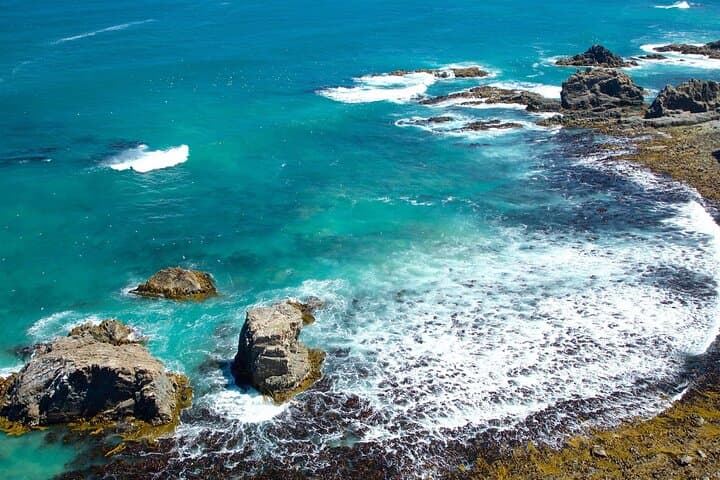 Coastal Catlins Cruiser: Private Day Tour from Dunedin Cruise Port photo 5