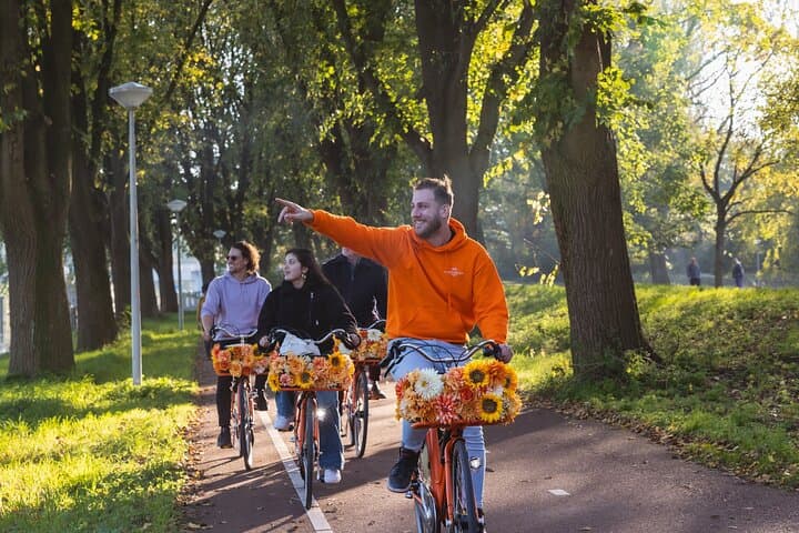 Amsterdam Countryside Bike Tour: Cheese, Windmill & E-Bike Options photo 5