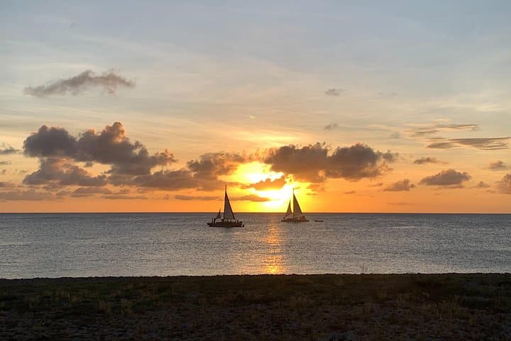 Aruba Private Island Tour: Aloe Farms, Donkeys & California Lighthouse photo 1