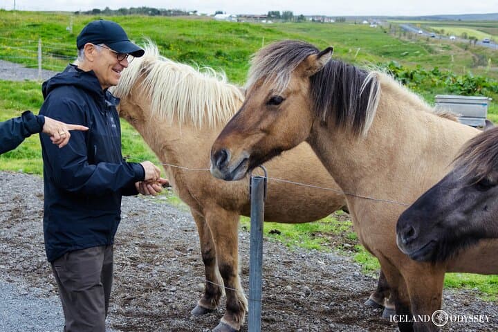Private Golden Circle Tour with Fridheimar Tomato Farm Lunch — Half-Day from Reykjavik photo 6