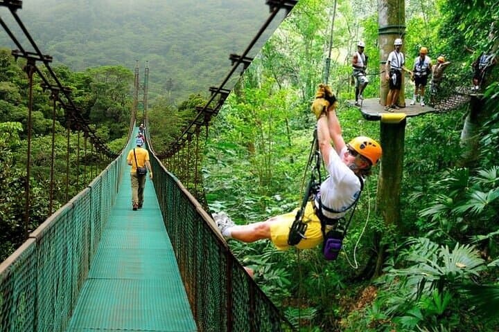 Rainforest Skywalk & Zipline Adventure — Canopy Tour from Puerto Limón, Costa Rica