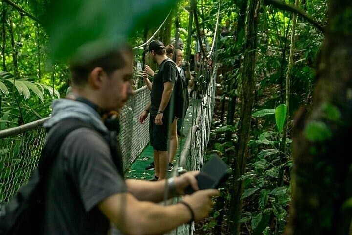 Rainforest Skywalk & Zipline Adventure — Canopy Tour from Puerto Limón, Costa Rica photo 3