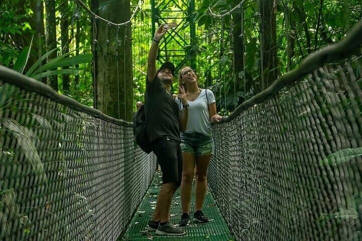 Rainforest Skywalk & Zipline Adventure — Canopy Tour from Puerto Limón, Costa Rica photo 5