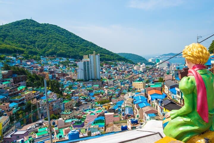 Busan Full-Day City Highlights: Temples, Coastlines & Culture photo 5