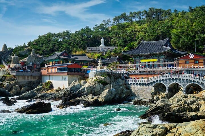 Busan Full-Day City Highlights: Temples, Coastlines & Culture