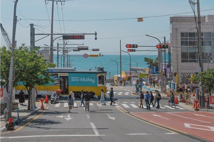 Busan Full-Day City Highlights: Temples, Coastlines & Culture photo 3