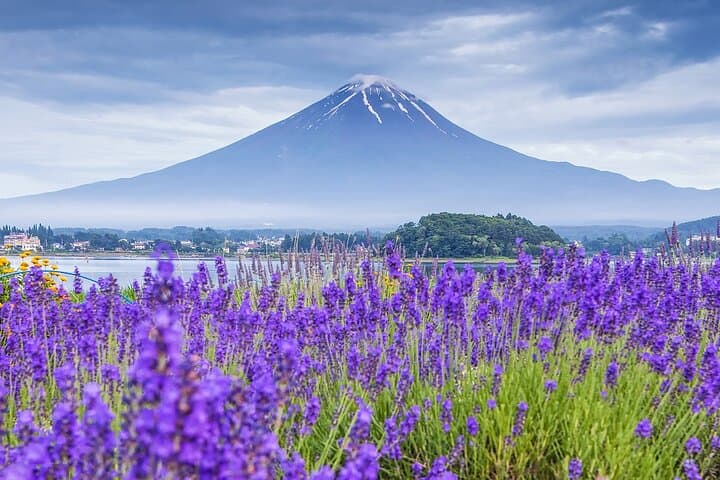 Mount Fuji One-Day Photo Tour from Tokyo — Arakurayama, Oshino Hakkai & Lake Kawaguchi photo 3