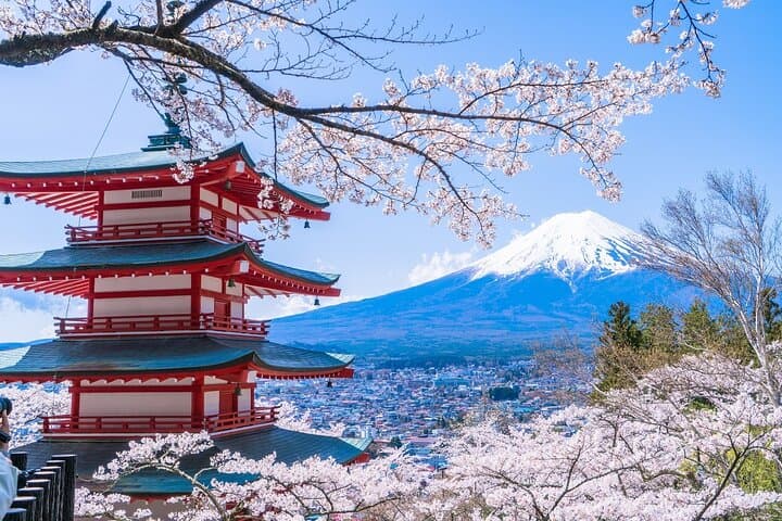 Mount Fuji One-Day Photo Tour from Tokyo — Arakurayama, Oshino Hakkai & Lake Kawaguchi