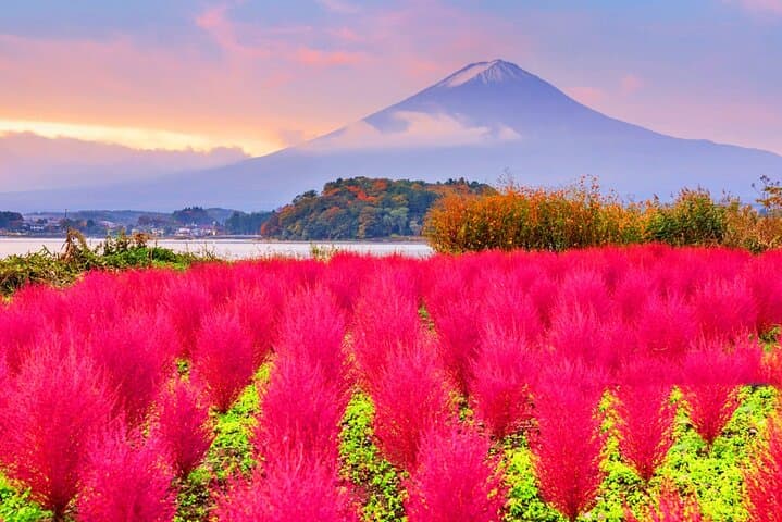 Mount Fuji One-Day Photo Tour from Tokyo — Arakurayama, Oshino Hakkai & Lake Kawaguchi photo 4