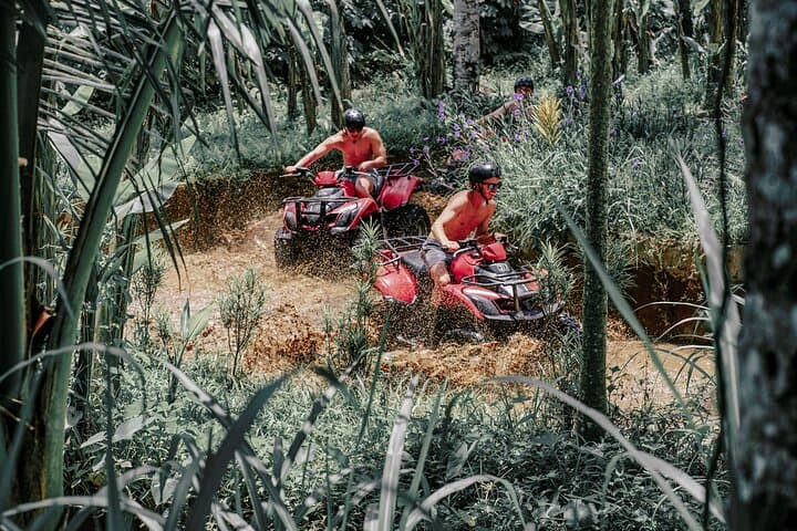 Ubud ATV Adventure: Quad-Bike Through Gorilla Cave, Rice Terraces & Mud Tracks photo 2