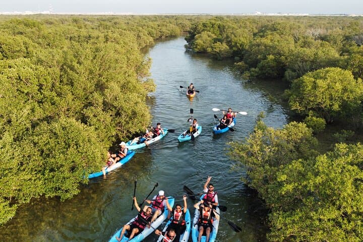 Kayaking the Al Thakhira Mangroves: Purple Island Eco Kayak Tour