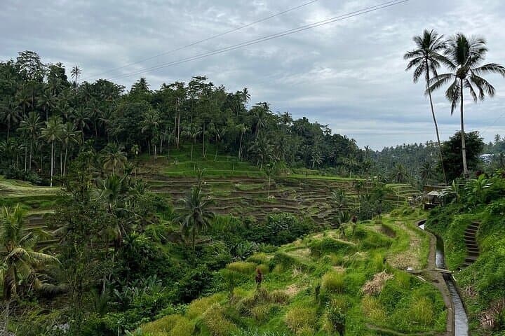 Ubud Hidden Waterfalls, Tirta Empul & Tegallalang — Private Day Tour photo 6