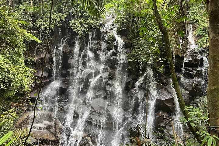 Ubud Hidden Waterfalls, Tirta Empul & Tegallalang — Private Day Tour photo 2