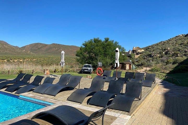 Cape Town to Aquila: Full-Day Big Five Game Reserve Safari with Lunch photo 4
