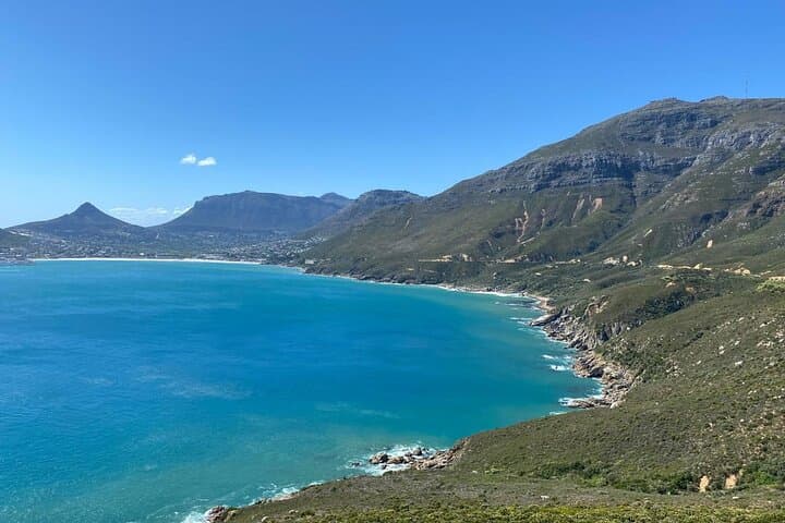 Cape Point & Boulders Beach Penguin Day Tour from Cape Town — Scenic Drive and Coastal Wildlife