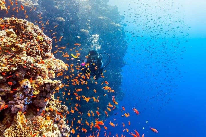 Advanced PADI Diving Course in Hurghada: 5-Dive Training, Deep Skills & Boat Lunch photo 2