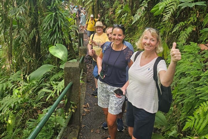Emerald Pool & Trafalgar Falls Mega Tour — Dominica's Waterfall Circuit photo 4