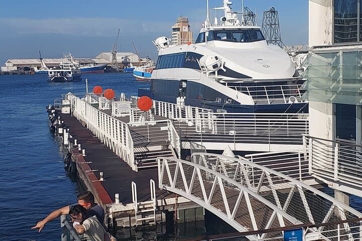 Table Mountain and Robben Island Full-Day Tour: Cable Car, Ferry & History from Cape Town photo 5