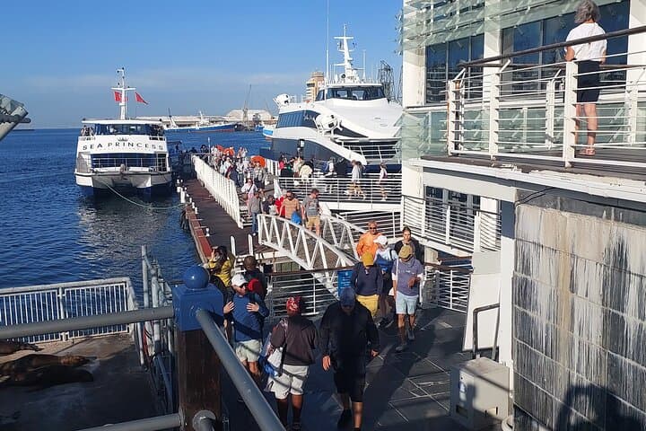 Table Mountain and Robben Island Full-Day Tour: Cable Car, Ferry & History from Cape Town photo 3