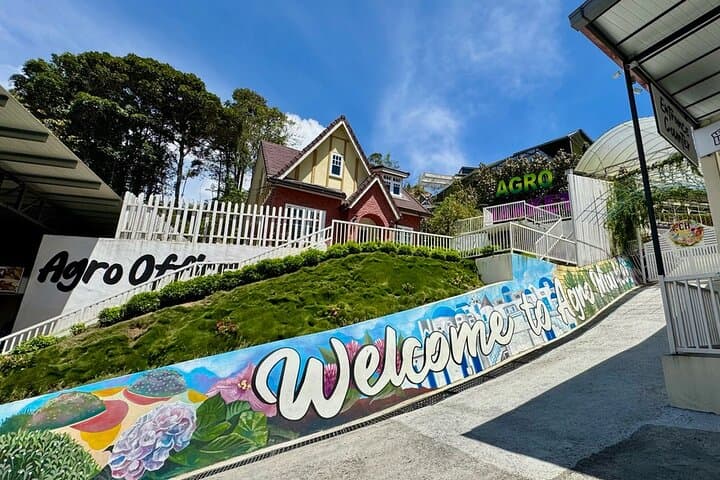 Cameron Highlands Day Tour from Kuala Lumpur — Tea Plantations, Agro Market & Waterfall photo 3