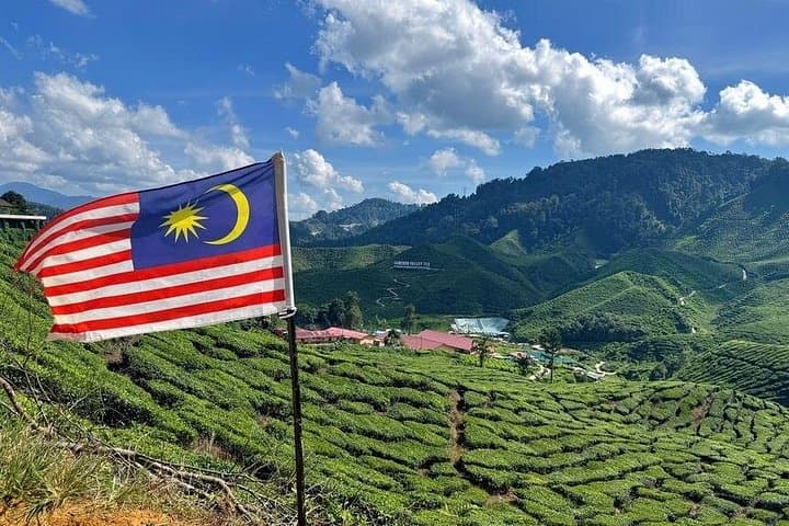 Cameron Highlands Day Tour from Kuala Lumpur — Tea Plantations, Agro Market & Waterfall photo 4