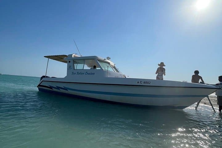 Abu Dhabi Island Hopping Speed Boat: 4-Hour Safari & Dolphin Island Cruise photo 1