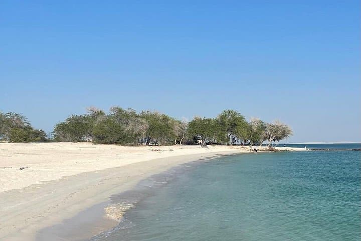 Abu Dhabi Island Hopping Speed Boat: 4-Hour Safari & Dolphin Island Cruise photo 4