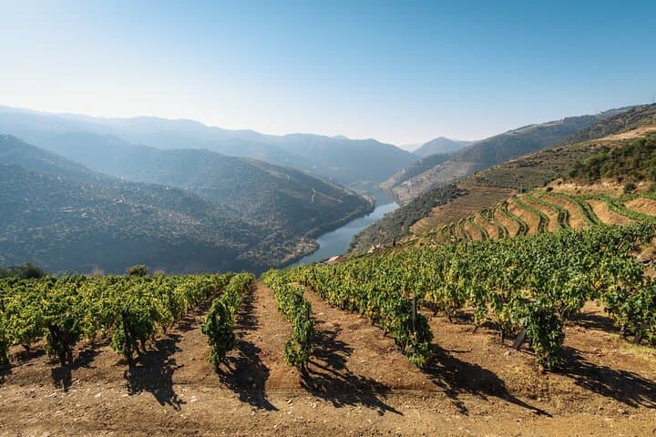 Douro Wine Tasting Tour: Torre de Moncorvo, Sabor River & UNESCO Vineyards photo 5