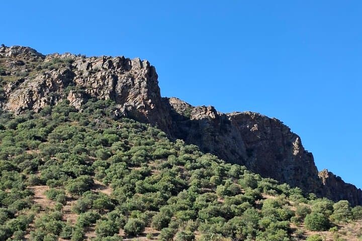 Feel the Douro: Full-Day Wine, Cliffs & Traditional Flavors Tour photo 4