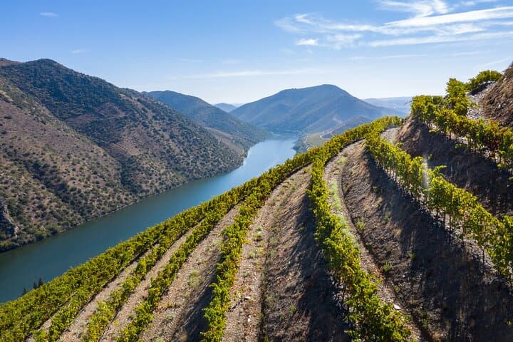 Feel the Douro: Full-Day Wine, Cliffs & Traditional Flavors Tour