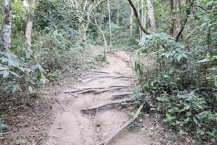 Pedra do Telégrafo Hike: Rio's Iconic Cliff-Edge Photo and Atlantic Views photo 5