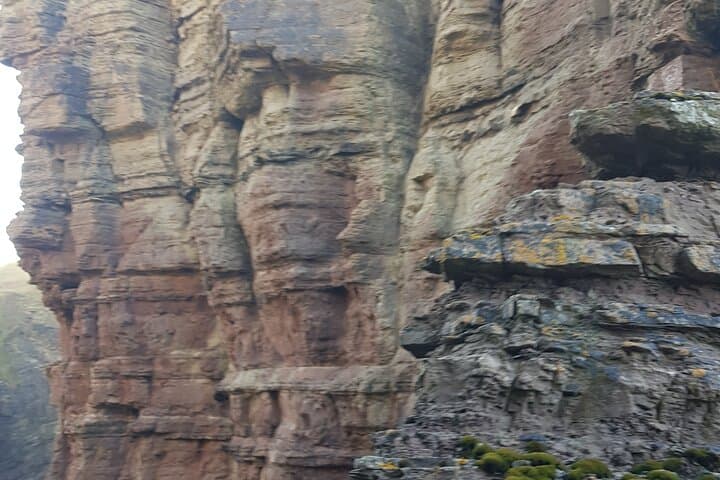 Bespoke Private Guided Tours of Orkney’s Neolithic Sites and Coastal Cliffs photo 3