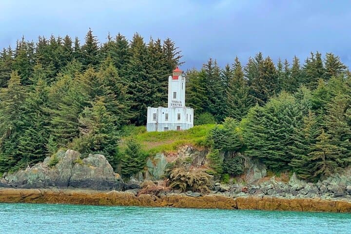 Juneau Lighthouse & Whale Watching Combo: Sentinel Island Tours