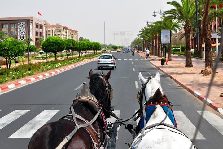 11-Day Private Imperial City and Sahara Desert Tour from Marrakech photo 5