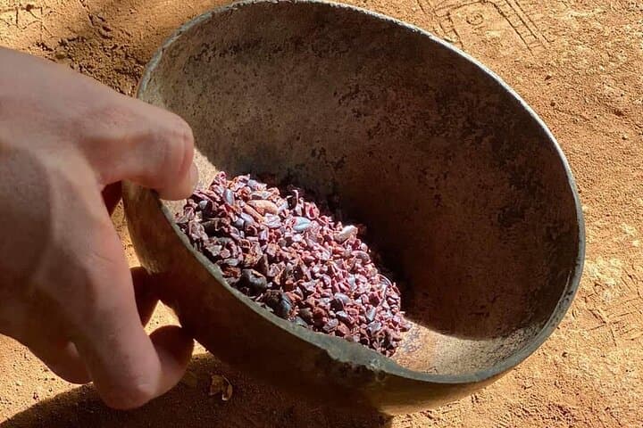 Quepos Chocolate Plantation Tour with Lunch — Cacao, Coffee & Local Plants photo 4