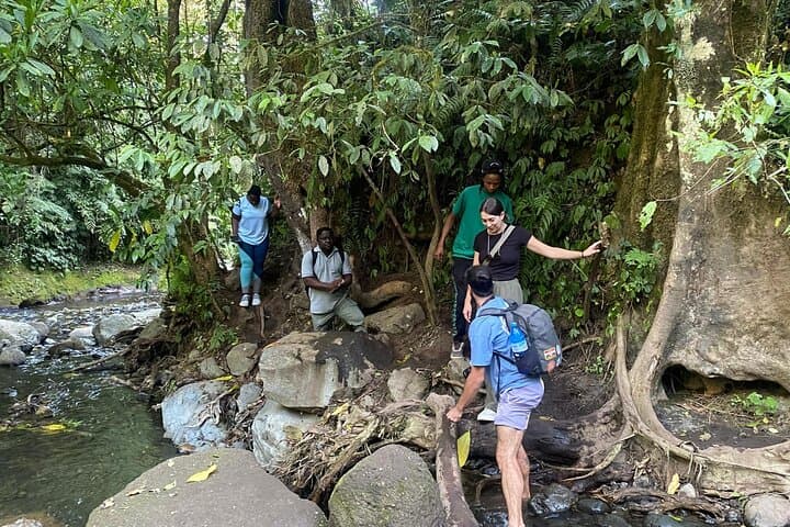 Napuru Waterfall Hike on Mount Meru: Arusha Rainforest Walk to a 78m Cascade photo 5