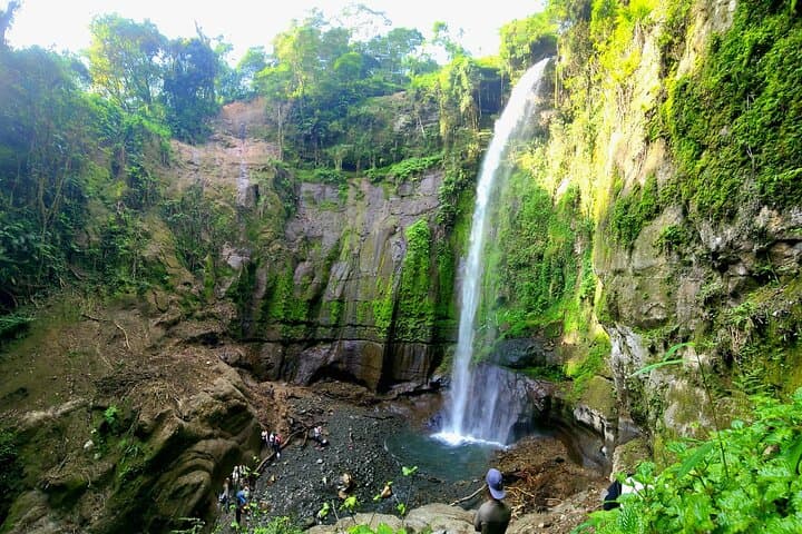 Napuru Waterfall Hike on Mount Meru: Arusha Rainforest Walk to a 78m Cascade