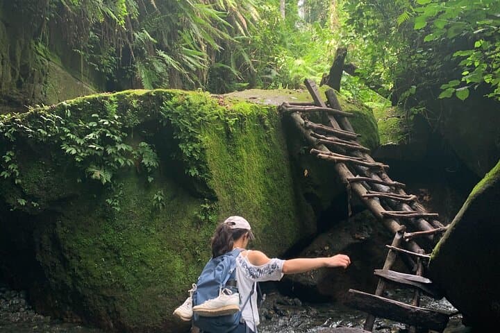 Napuru Waterfall Hike on Mount Meru: Arusha Rainforest Walk to a 78m Cascade photo 2