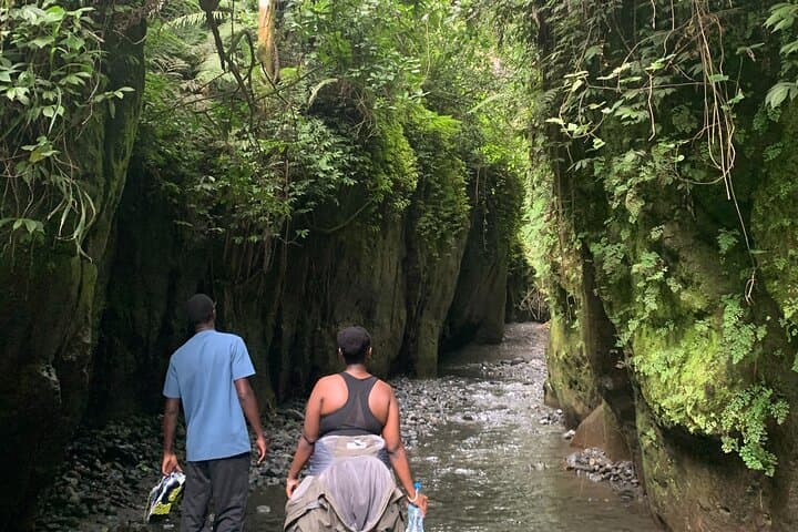 Napuru Waterfall Hike on Mount Meru: Arusha Rainforest Walk to a 78m Cascade photo 3