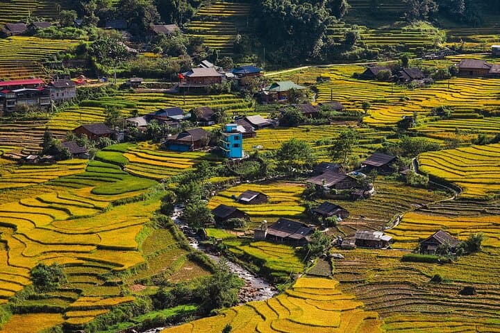 Northern Vietnam Discovery: 7-Day Hanoi to Sapa, Ninh Binh & Halong Bay Adventure photo 2