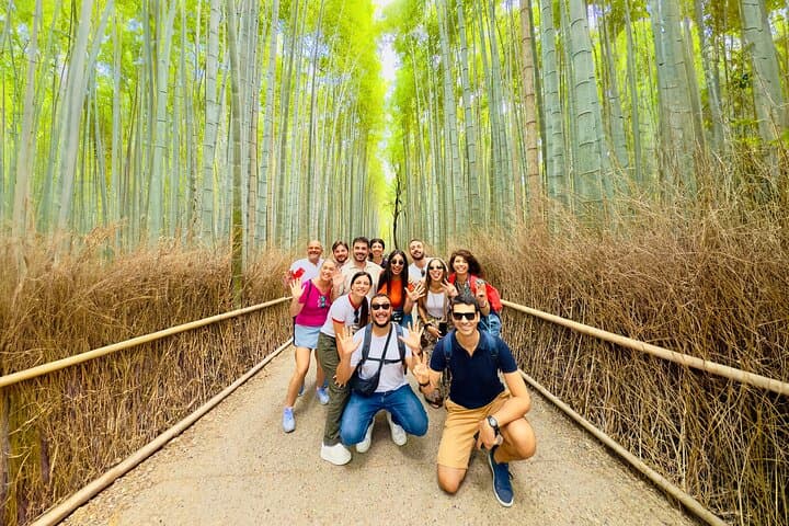 Arashiyama Walking Tour: Bamboo Grove, Tenryuji & Monkey Park in Kyoto photo 4