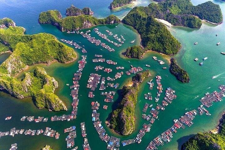 Lan Ha Bay Luxury Day Tour from Hanoi — Cruise, Kayaking & Biking on Cat Ba photo 3