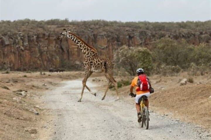 Day Trip to Hell's Gate and Horse Riding at Sanctuary Farm from Nairobi