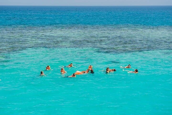 Marsa Alam Dolphin Watching: Snorkel Shaab Samadai and Lunch at Sea photo 3
