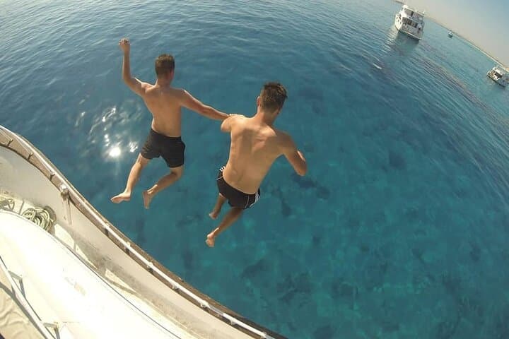 Marsa Alam Dolphin Watching: Snorkel Shaab Samadai and Lunch at Sea photo 6