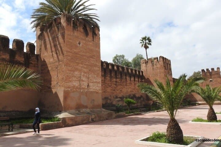 Taroudant & Tiout Oasis Day Trip from Agadir — Souks, Kasbahs & Tree‑Climbing Goats photo 3